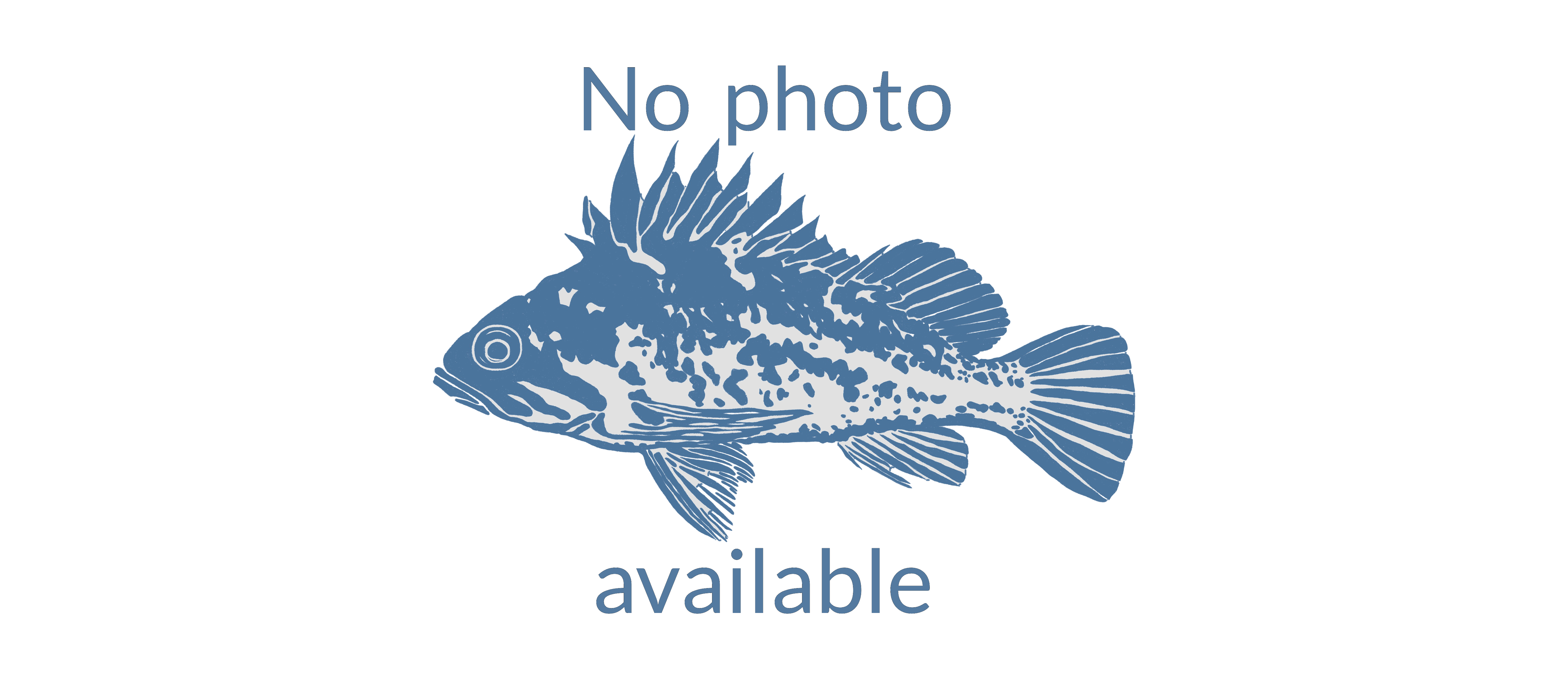 image of Haplochromis rudolfianus
